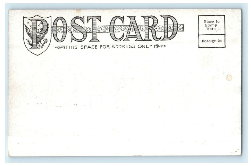 c1905 Birdland Dirt Road Des Moines Iowa IA Unposted Antique Postcard