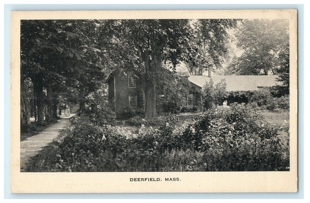 c1910 Deerfield Massachusetts MA Unposted Albertype Unposted Postcard