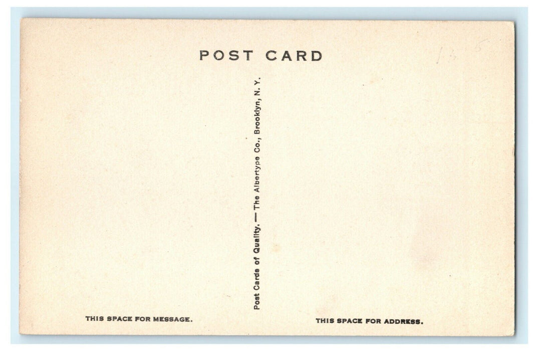 c1910 Deerfield Massachusetts MA Unposted Albertype Unposted Postcard