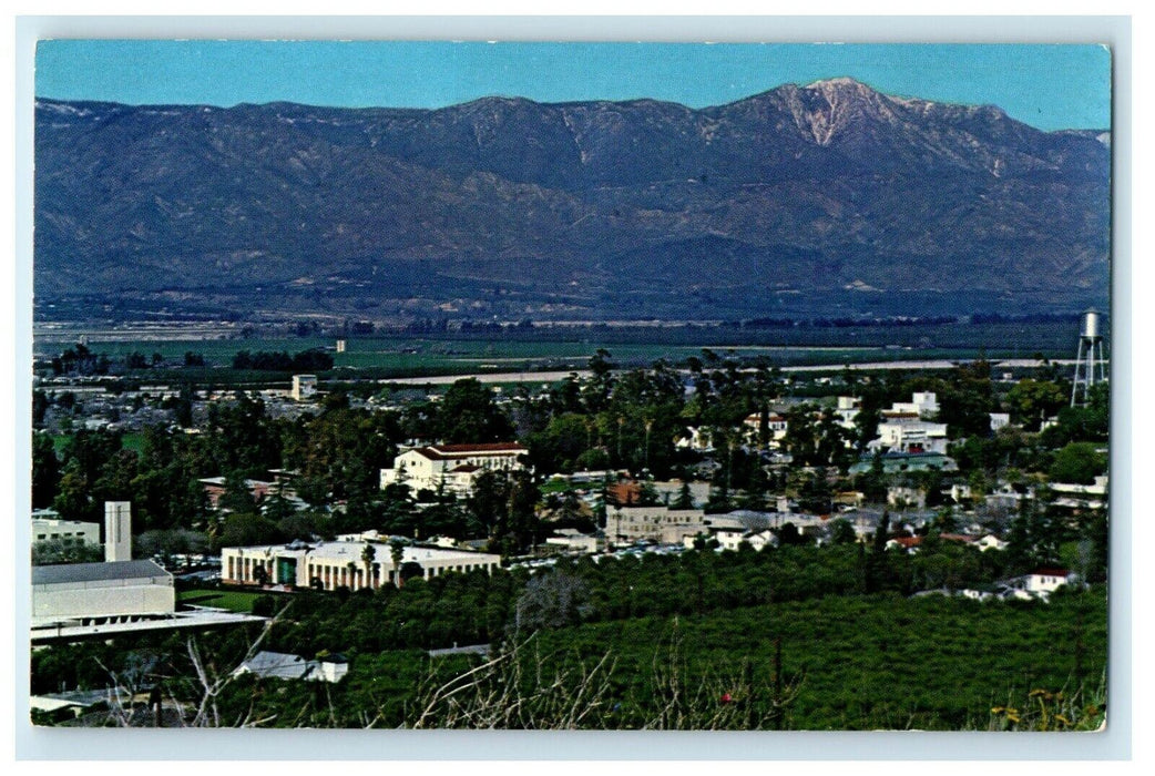 Bird's Eye View Of University Campus Loma Linda San Francisco CA Postcard