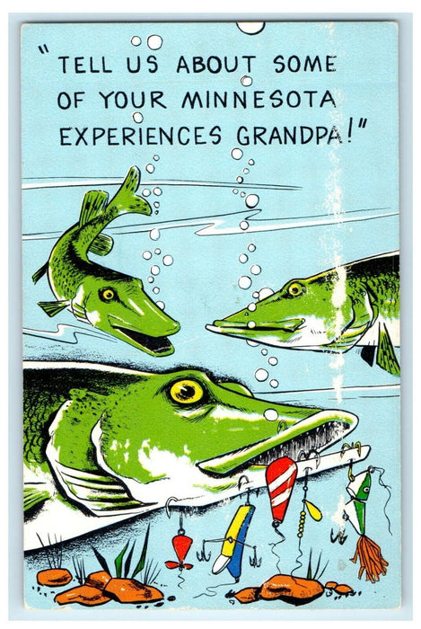 c1940's Fishes Tell Me About Your Minnesota Experiences Grandpa Vintage Postcard