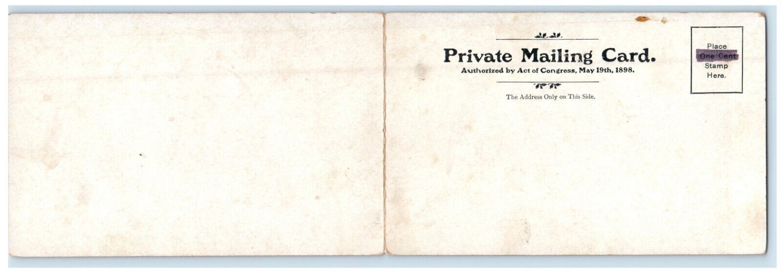 1903 Fold Out Cornell University Campus Bird's Eye View Ithaca NY PMC Postcard