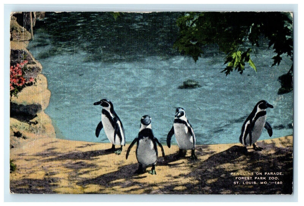 1946 Penguins On Parade Park Zoo St. Louis Missouri MO Posted Vintage Postcard