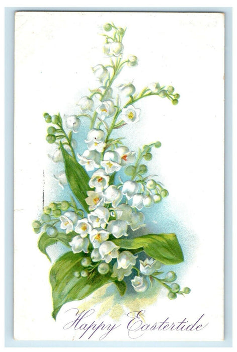 c1910's Greetings Eastertide Orchids Flowers Embossed Tuck's Postcard
