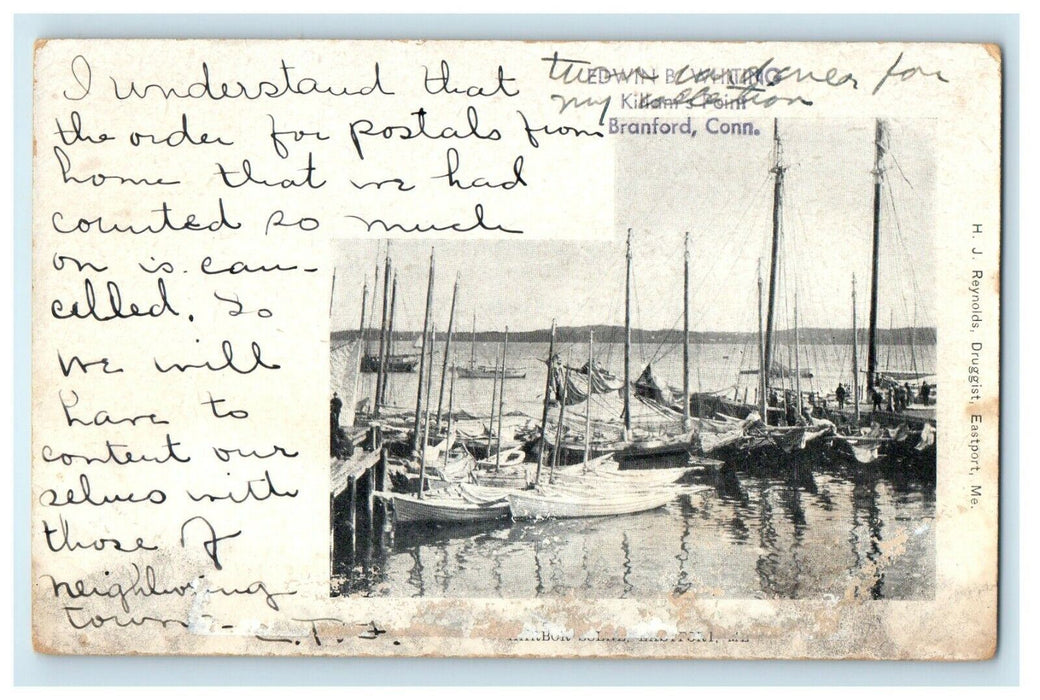 1901 Edwin B Whiting, Killani's Point Branford, Connecticut CT Antique Postcard