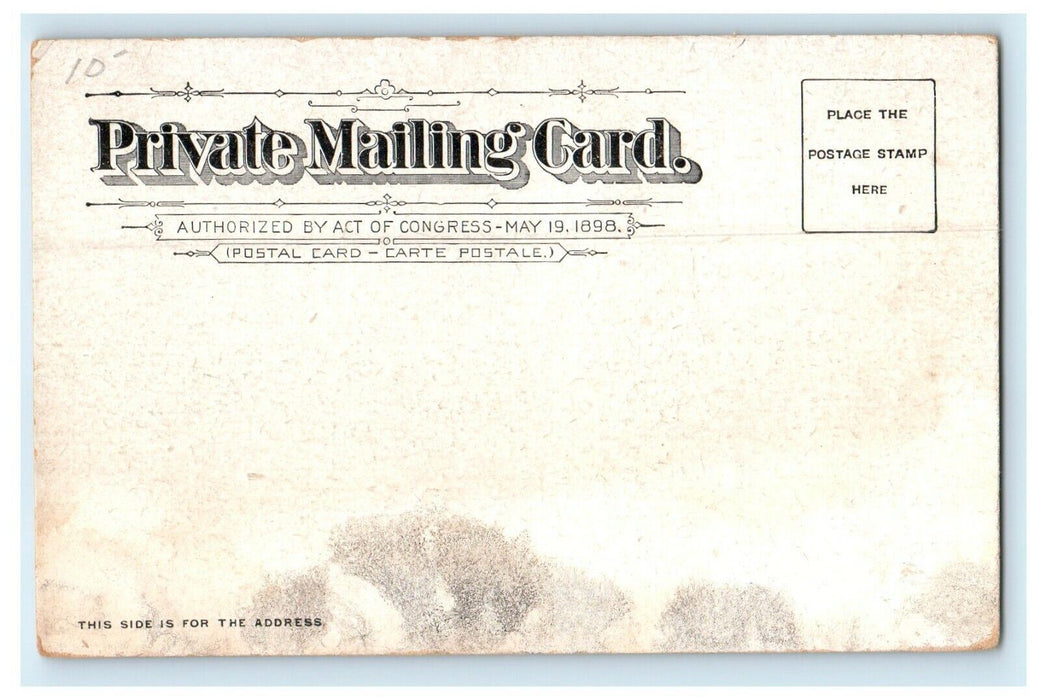 1901 Edwin B Whiting, Killani's Point Branford, Connecticut CT Antique Postcard
