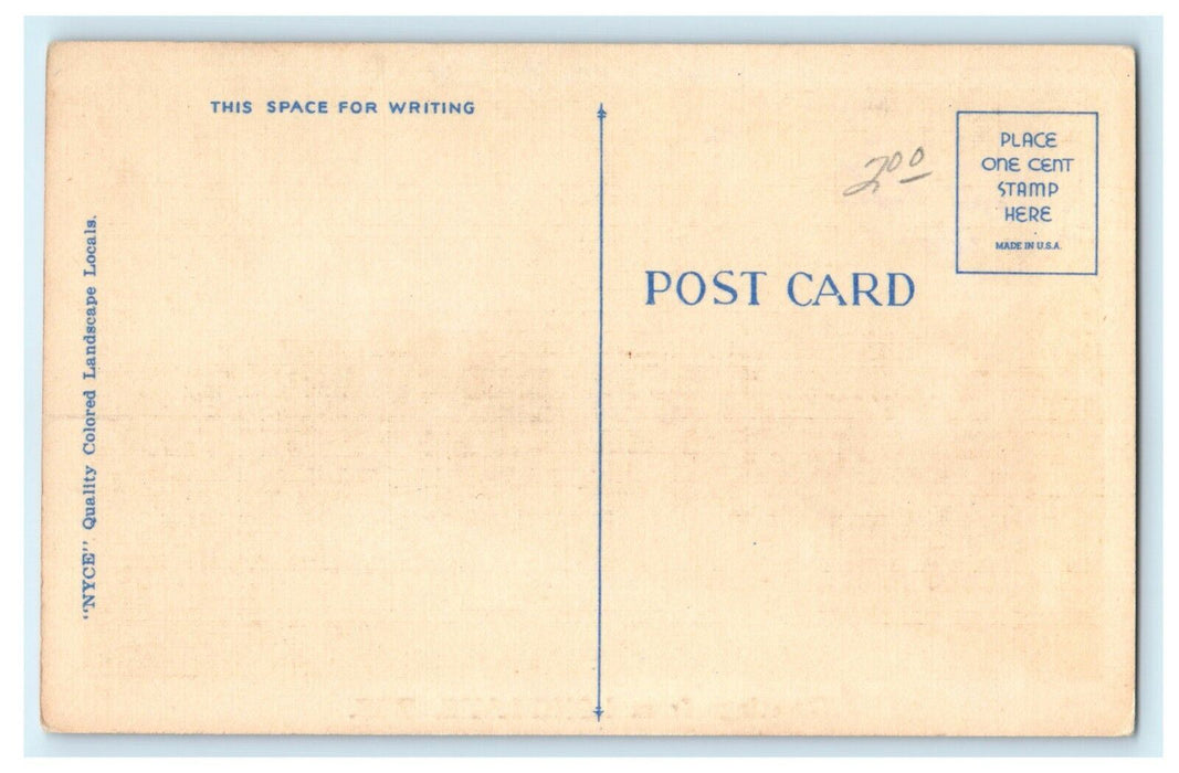 1930 Trees and Road in Greetings from Long Lake, Wisconsin WI Vintage Postcard