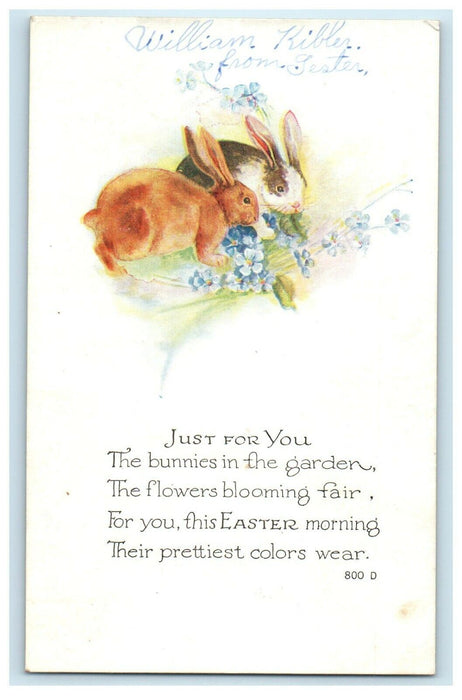 1920 Greetings Easter Bunny Rabbits And Blue Pansies Flowers Antique Postcard