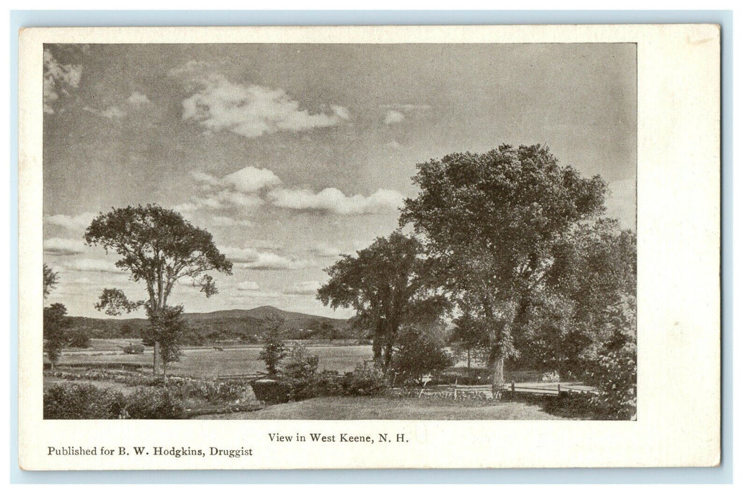 1905 Tree Standing at West Keene, New Hampshire NH Postcard