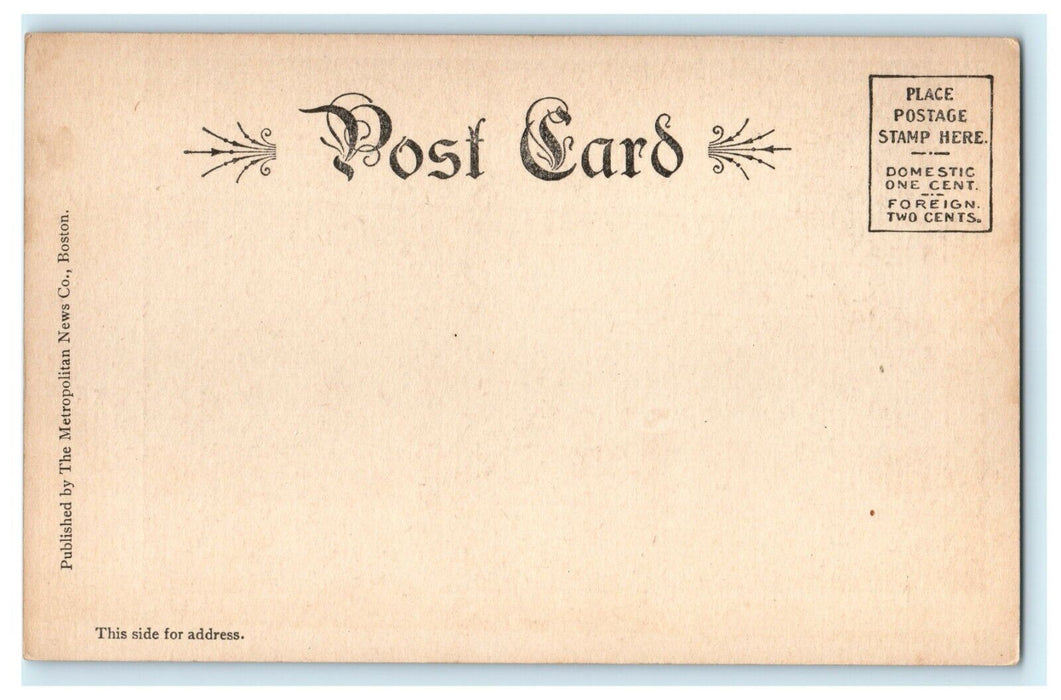 1905 Tree Standing at West Keene, New Hampshire NH Postcard