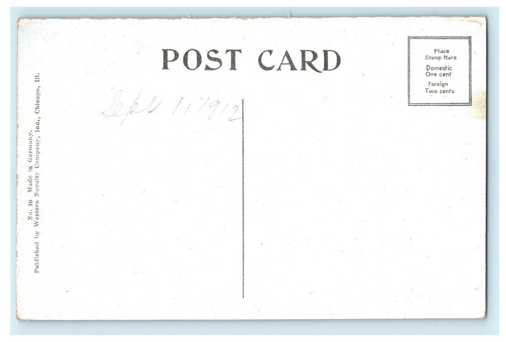 c1910 Wild Cat Canyon Starved Rock La Salle County Illinois IL Antique Postcard