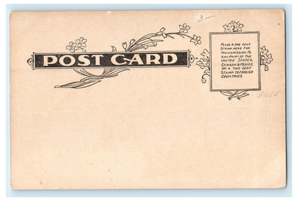 c1900s Hotel, Steamboat and Nix Mate in Nantasket, Massachusetts MA Postcard