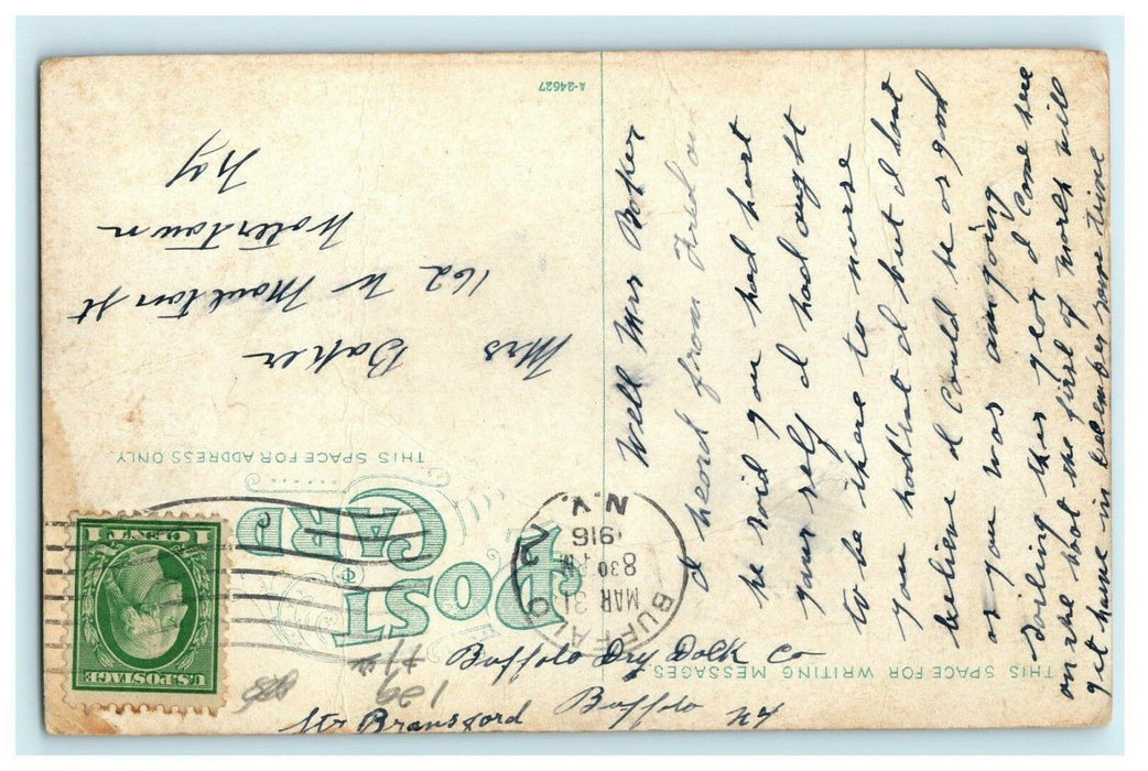 1916 Girls Dressed in White, Delaware Park, Buffalo New York NY Postcard