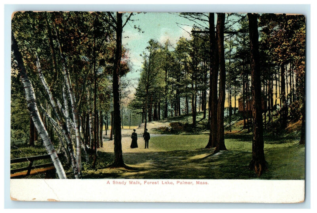 A Shady Walk Forest Lake Palmer Massachusetts MA Undivided Back Postcard