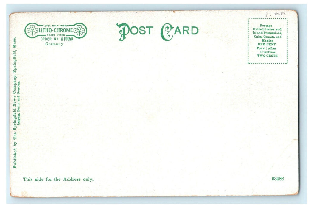 A Shady Walk Forest Lake Palmer Massachusetts MA Undivided Back Postcard