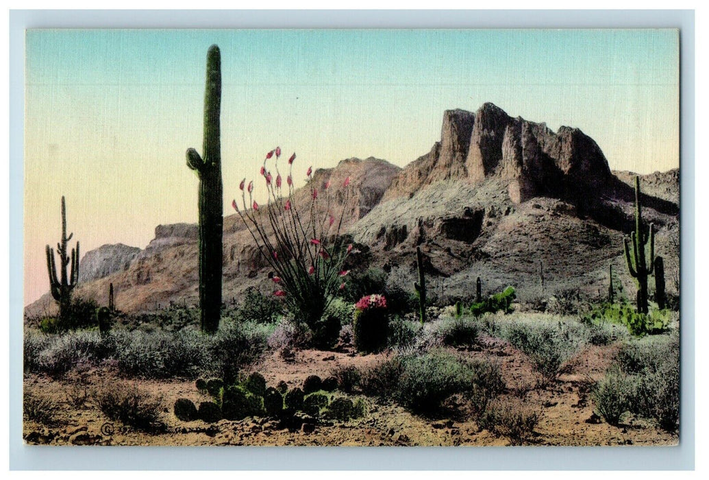 Arizona AZ, The Land Of Color Superstition Mountains Handcolored Postcard