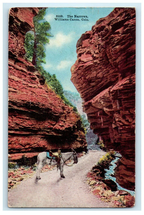 1910 The Narrows William Canon Colorado CO Posted Antique Postcard