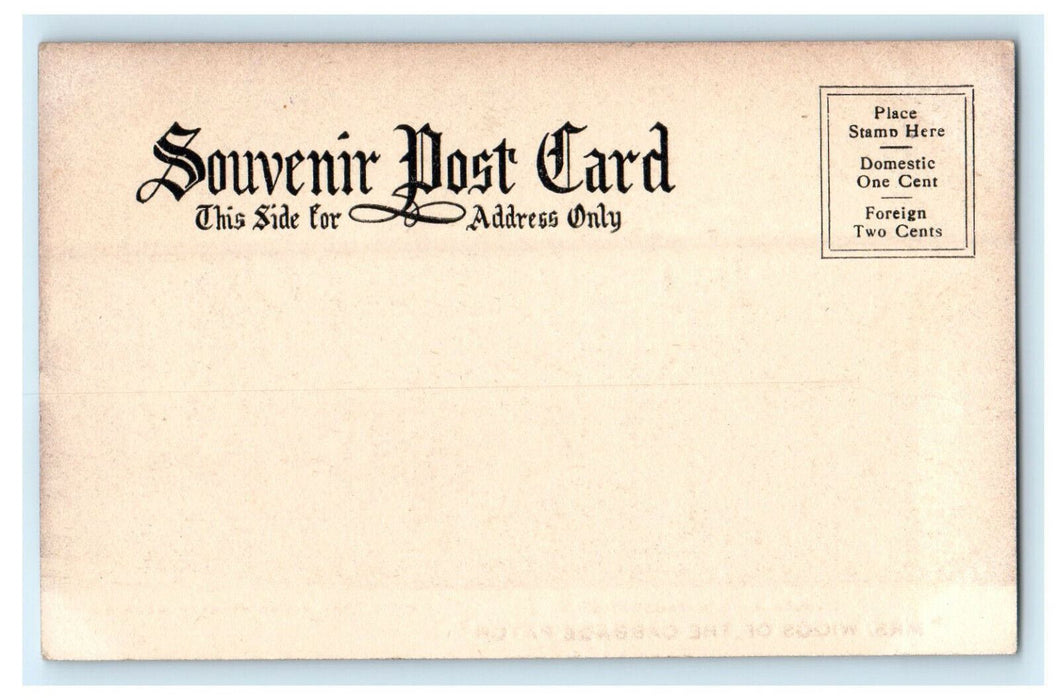 c1905s Leibler & Co.s' Mrs. Wiggs of the Cabbage Patch Advertising Postcard