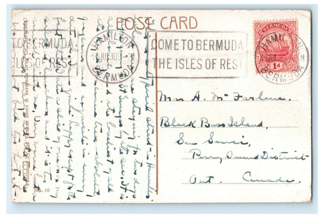1930 A Novel Flower Garden Hamilton Bermuda Posted Antique Postcard