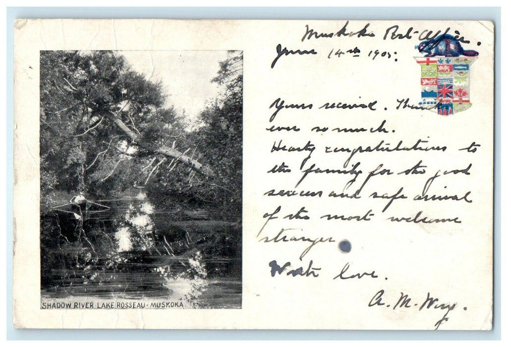 1905 Shadow River Lake Rosseau Muskoka Ontario Canada Antique Postcard