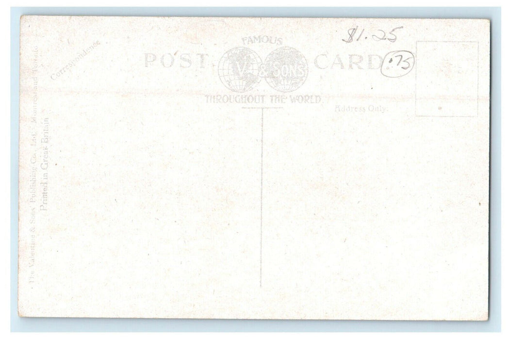 c1910's View Of Steamer Macassa Hamilton To Toronto Canada Postcard