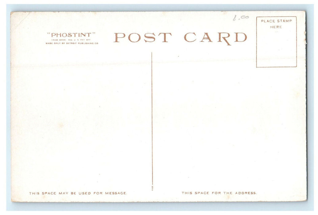 c1910s Clark's Island Plymouth Massachusetts MA Phostint Unposted Postcard