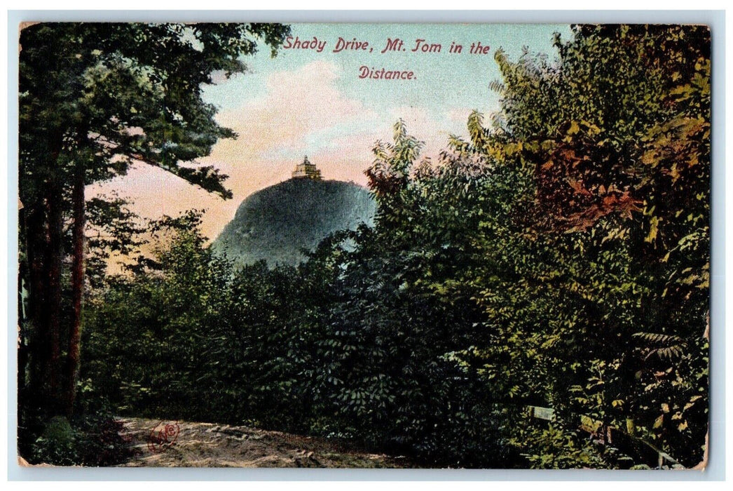 1908 Shady Drive Mt. Tom Distance Holyoke Massachusetts Vintage Antique Postcard