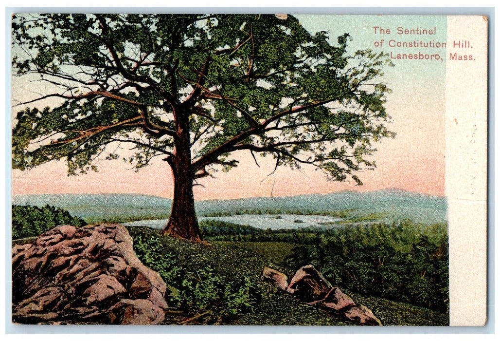 c1910 Sentinel Constitution Hill Trees Mountain Lanesboro Massachusetts Postcard