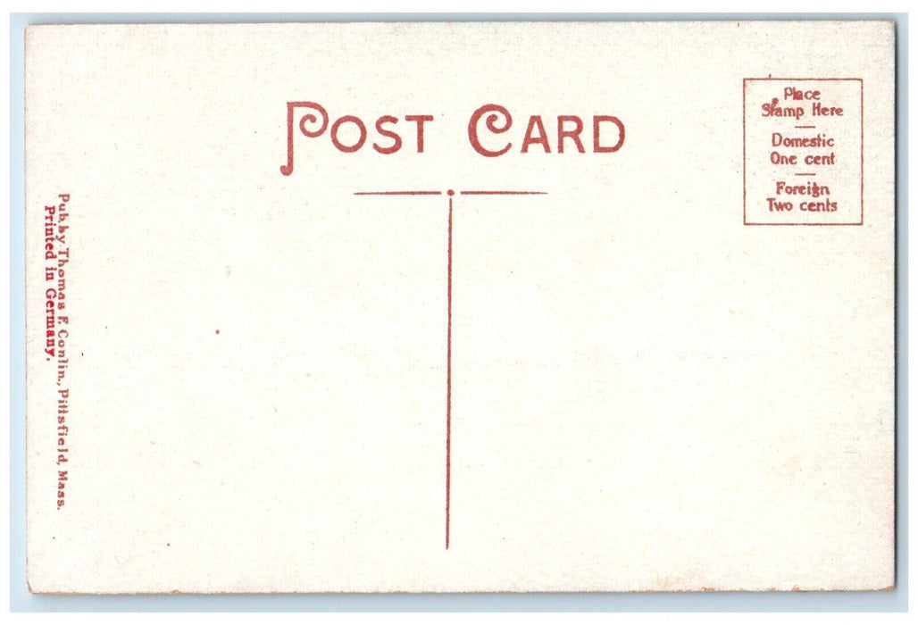 c1910 Sentinel Constitution Hill Trees Mountain Lanesboro Massachusetts Postcard