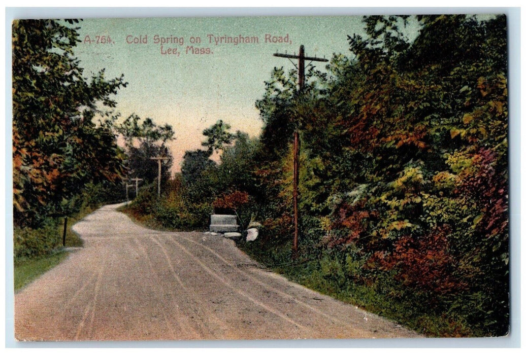 1908 Cold Spring Tyringham Road Street Trees Lee Massachusetts Vintage Postcard