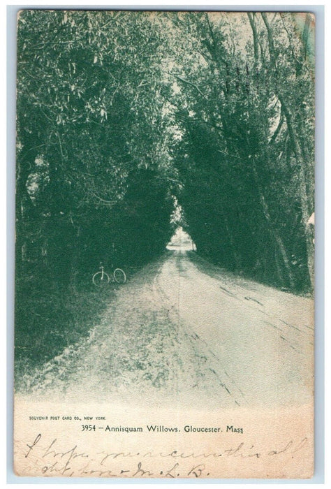 1905 Annisquam Willows Road Street Bicycle Gloucester Massachusetts MA Postcard