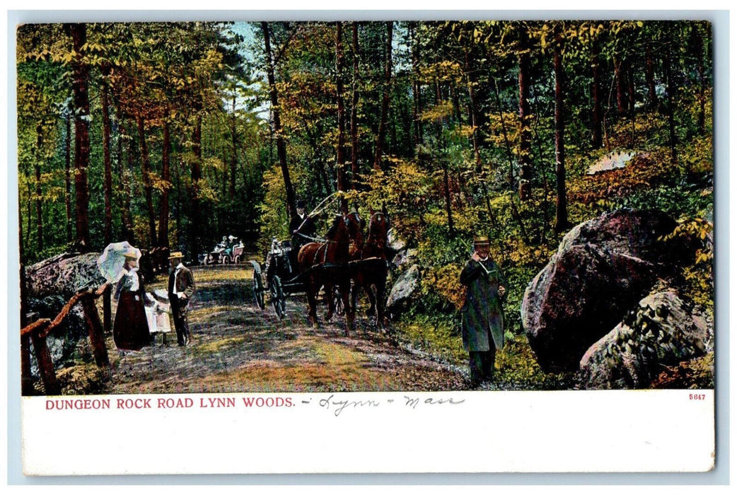 c1905 Dungeon Rock Road Lynn Woods Lynn Massachusetts MA Unposted Postcard