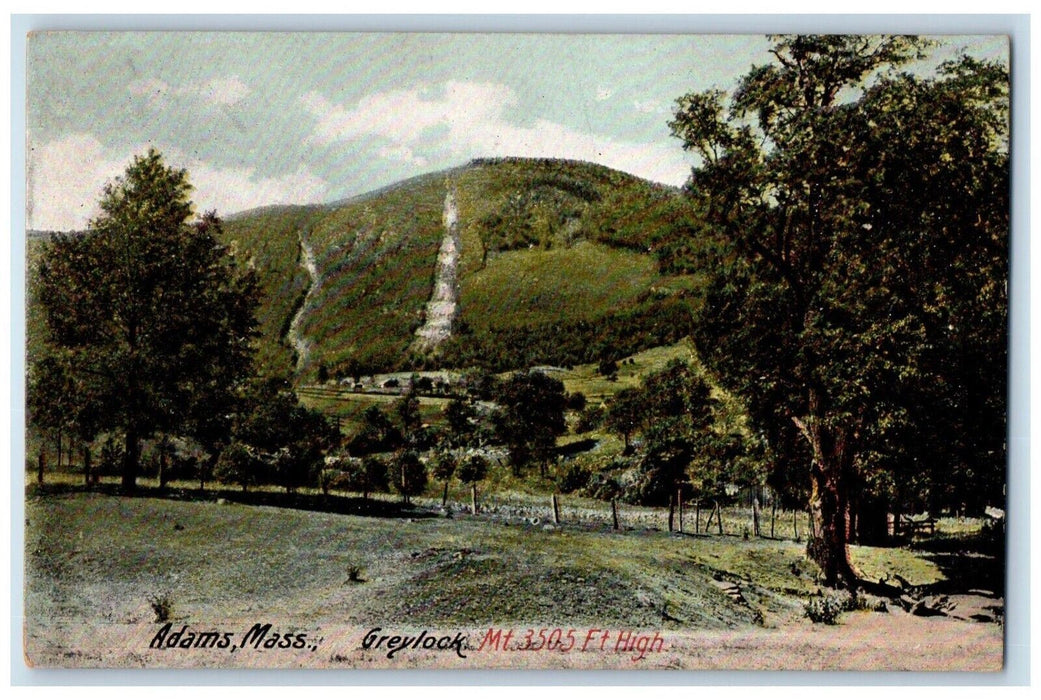 c1910 Greylock Mountain Field Trees Road Field Adams Massachusetts MA Postcard