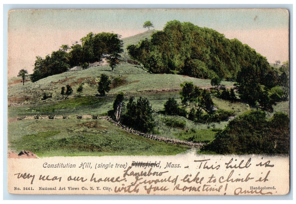 1919 Constitution Hill Single Tree Mountain Pittsfield Massachusetts MA Postcard