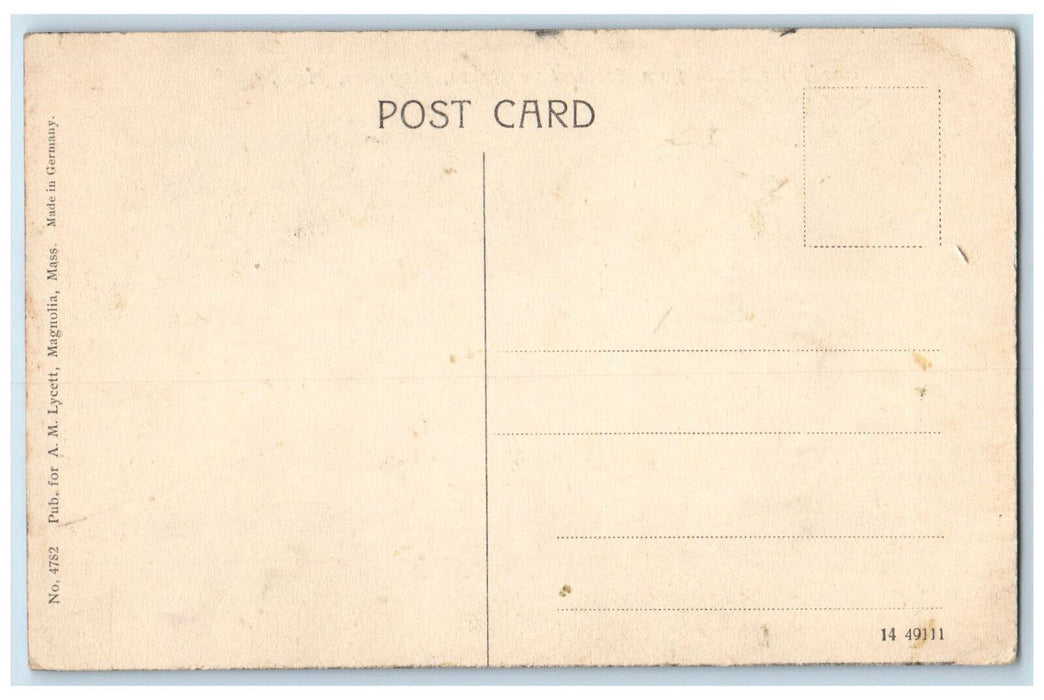 c1910 The Point South rom Cobblestone Beach Magnolia Massachusetts MA Postcard