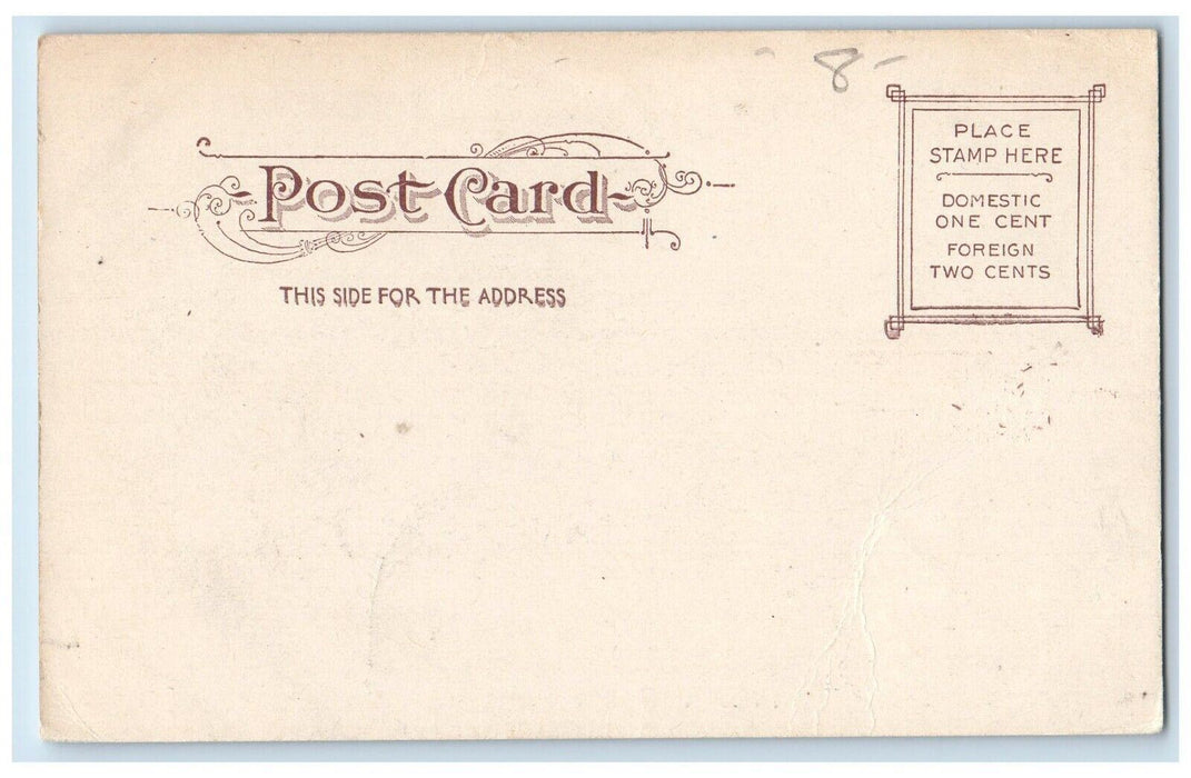 c1905 View Of Adams House Waltham Massachusetts MA Unposted Antique Postcard