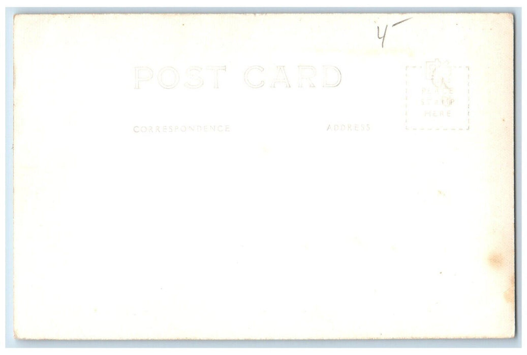 Birds Eye View Turney Falls Waterfalls Davis Oklahoma OK RPPC Photo Postcard