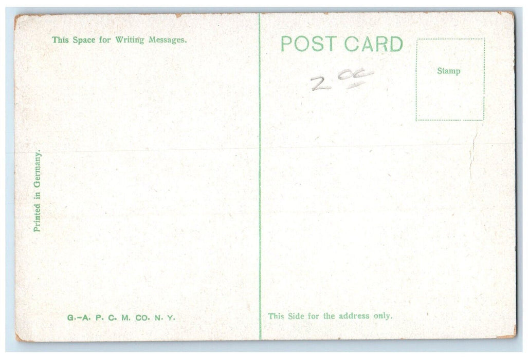 c1910 Magnolia Hotel St. Augustine Florida FL Antique Unposted Postcard