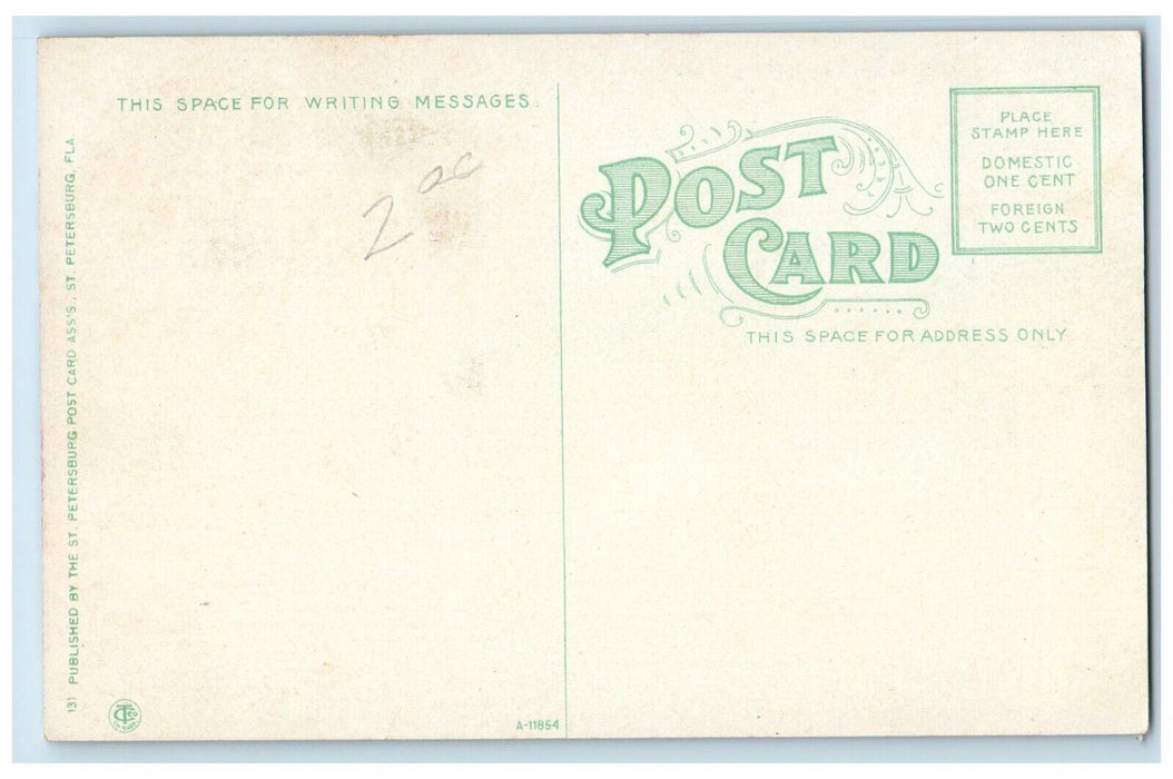 c1910 The Shell Grotto St. Petersburg Florida FL Antique Unposted Postcard