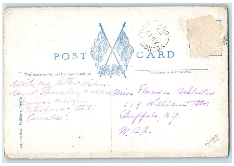 1909 South Beach Hotel Near Young's Point Ontario Canada Antique Postcard