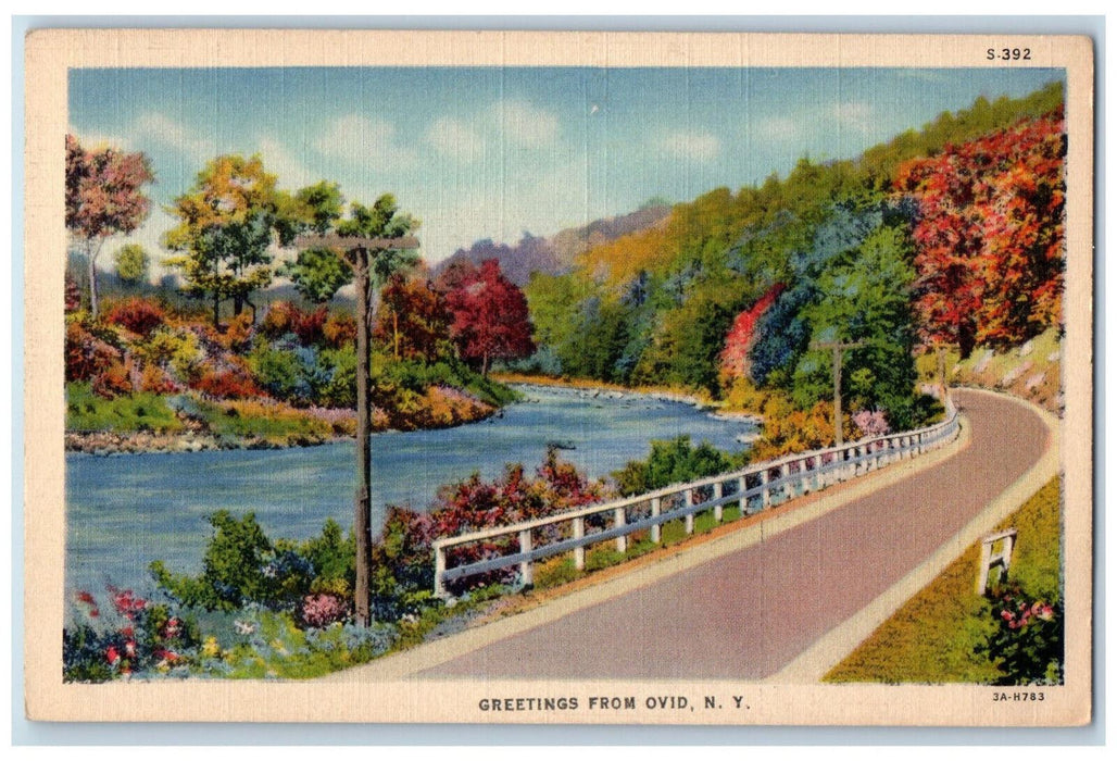 c1940's Road Scene Greetings from Ovid New York NY CT River Series Postcard