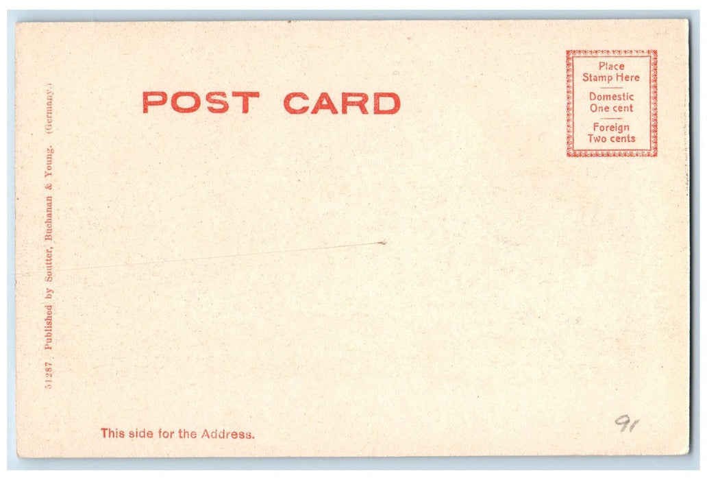 c1905s Library Building Franklin And Marshall College Lancaster PA Tree Postcard
