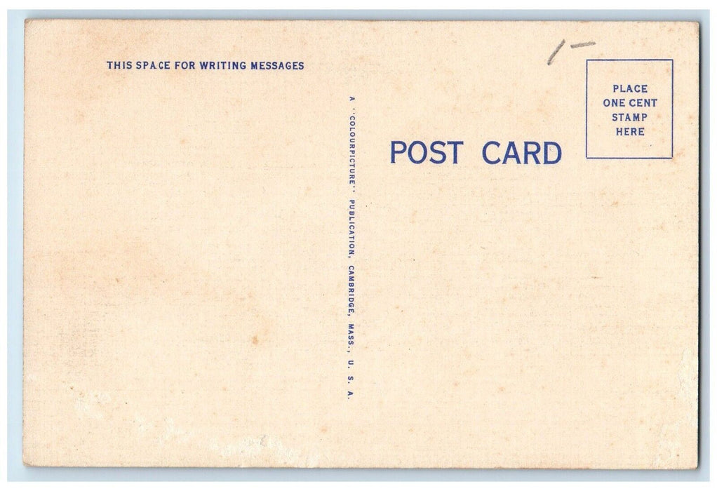 c1950's View On The Common Waltham Massachusetts MA Unposted Vintage Postcard