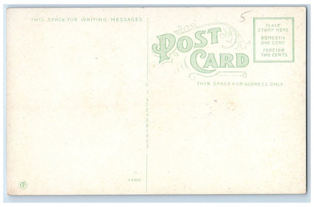 c1910 US Flag Fort Sewall Marblehead Massachusetts MA Antique Unposted Postcard