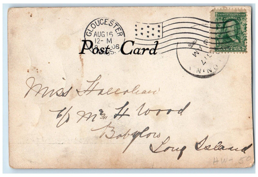 1906 Willows Street Road Annisquam Trees Massachusetts Vintage Antique Postcard