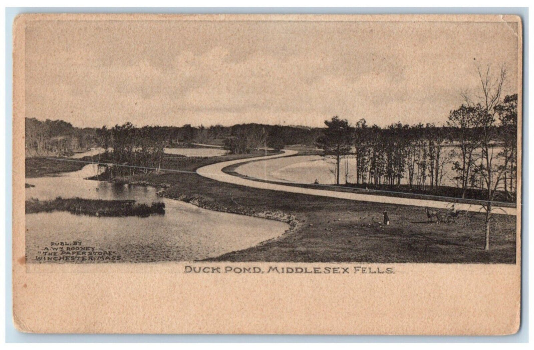 c1905 Duck Pond Middlesex Feels Massachusetts MA Unposted Antique Postcard