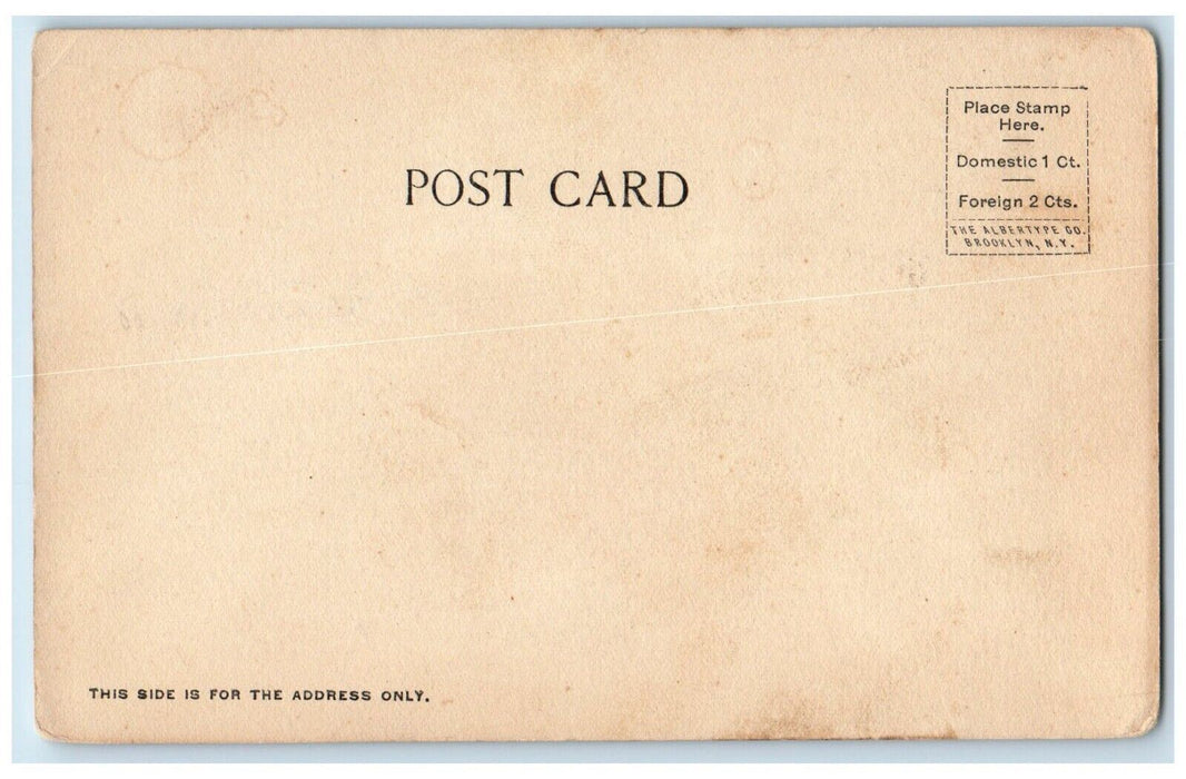 c1905 Duck Pond Middlesex Feels Massachusetts MA Unposted Antique Postcard