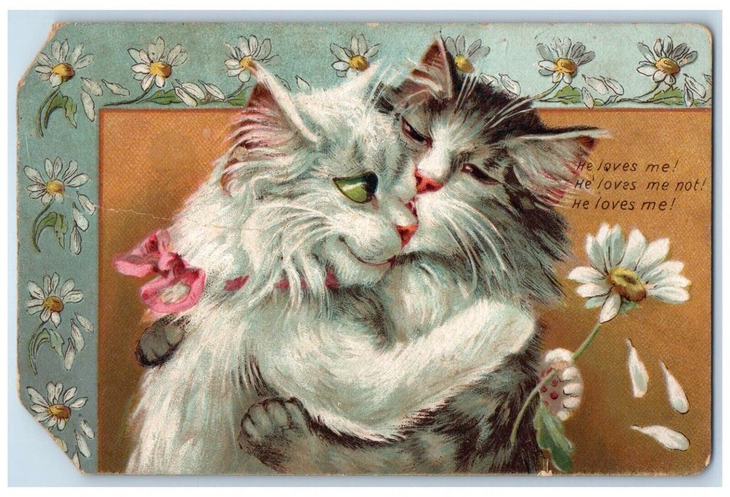 Anthropomorphic Boulanger Cat Kissing Flowers Tuck's Shepherdstown WV Postcard