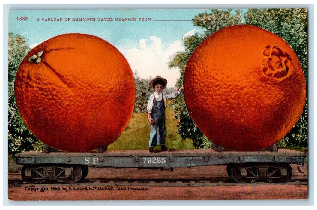 c1910 Exaggerated Carload Mammoth Oranges Boy California CA Railway Postcard