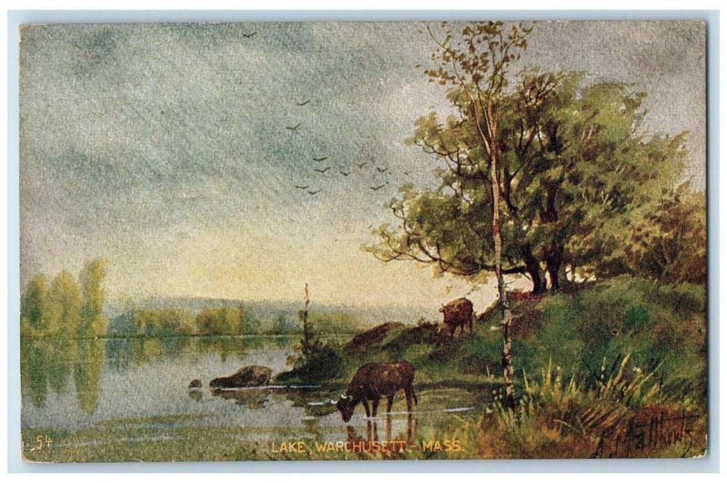 c1910's View Of Lake Warchusett Massachusetts MA, Cow Unposted Antique Postcard